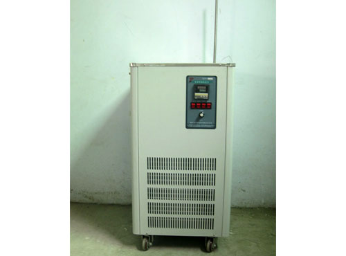 低温恒温反应浴DFY-10L/30